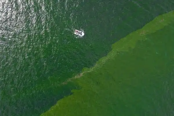 Bukan Mistis! Ini Penjelasan Ilmiah Mengapa Air Laut Dekat Dermaga Berwarna Hijau