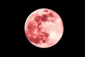Siap-Siap Dunia Jadi Lebih Soft Tapi Powerful Dengan Melihat Pink Moon