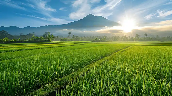 Salah Fokus pada Tanda Alam? Kenali Tanda Sejati Lailatul Qadar yang Ada pada Perubahan Sikap dan Kejujuran Hati