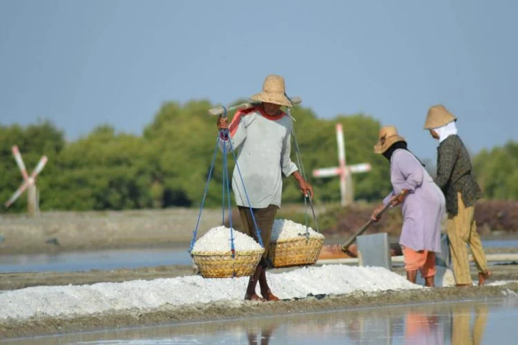 Suhu Matahari hingga Meja Kristal, Ternyata Ini Rahasia Garam Premium