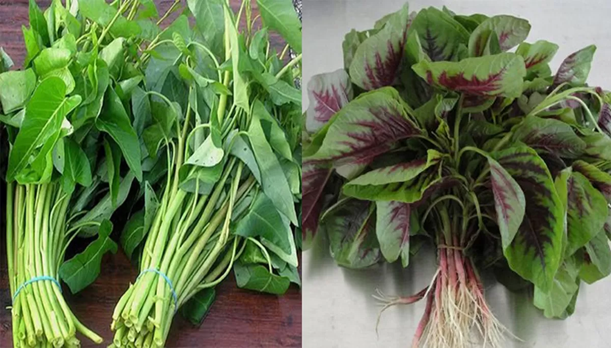 Bukan Sekadar Sayur: Kisah Diplomasi Botani di Balik Kehadiran Bayam dan Kangkung