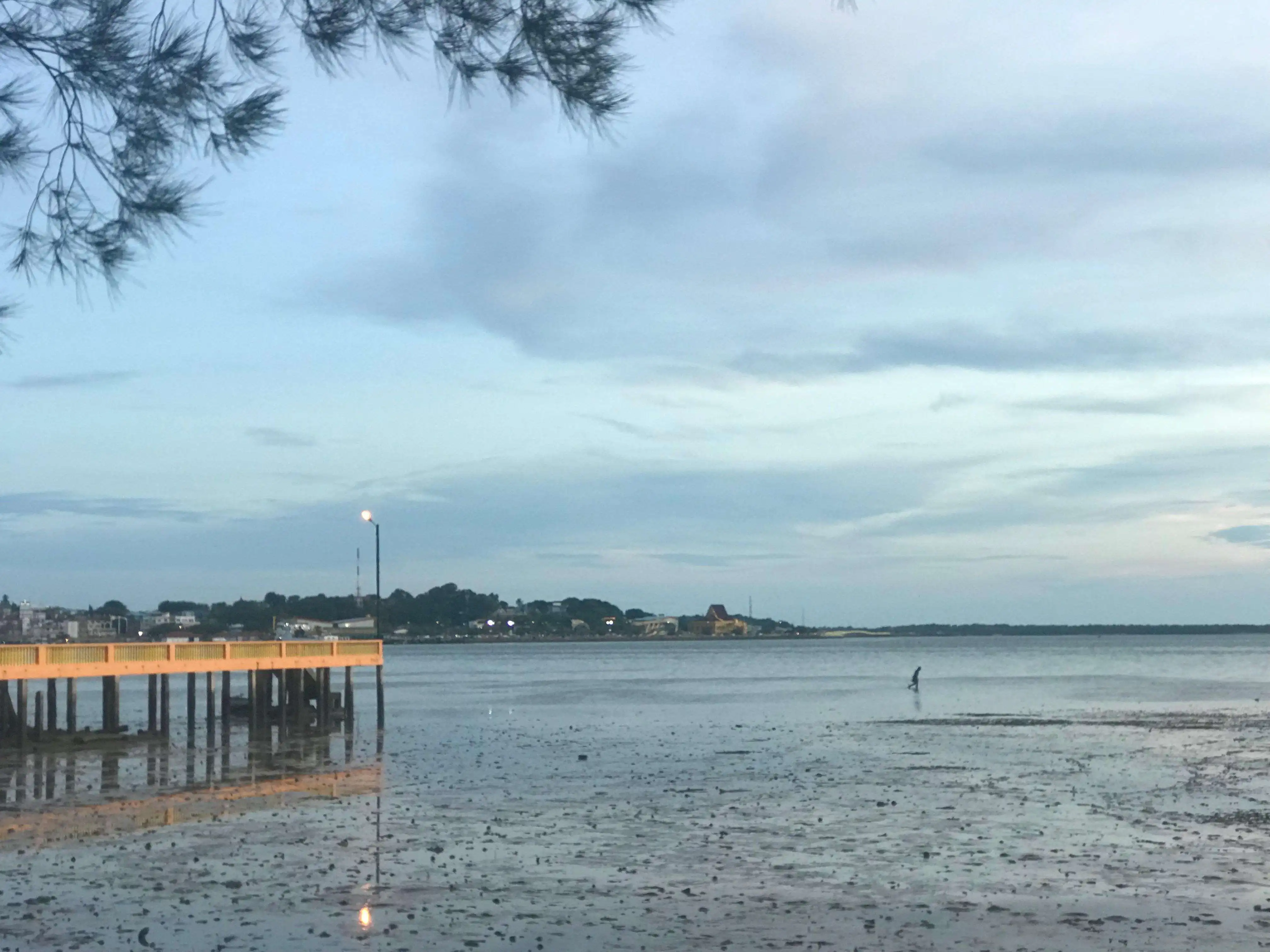 Jangan Terkecoh! Ini Alasan Sains Kenapa Air Laut Surut Pasca-Gempa Adalah Sinyal Maut