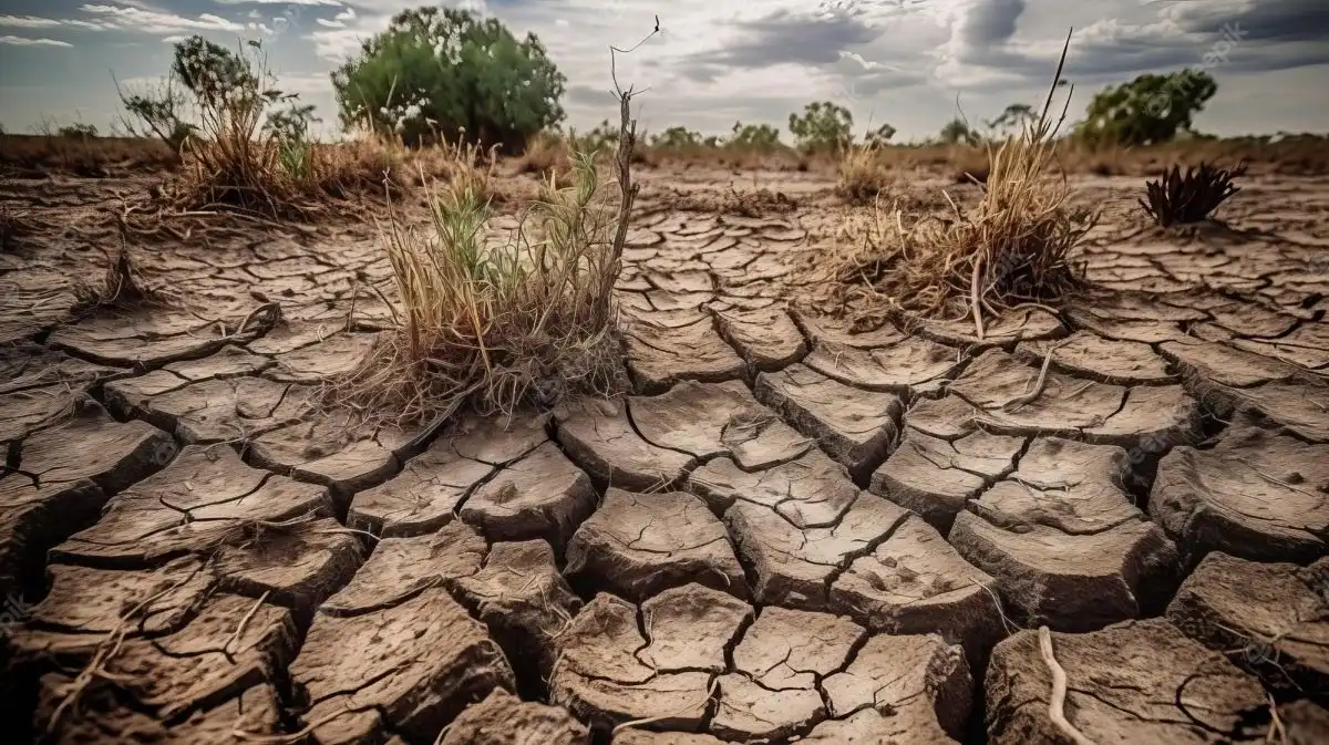 Pati & Rembang Siaga Kemarau 9 Bulan: Peringatan Dini BMKG