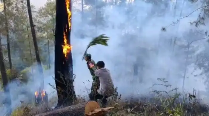 Dukungan Antarpetugas di Lereng Curam, Tim Gabungan Jinakkan Kebakaran Hutan Petungkriyono