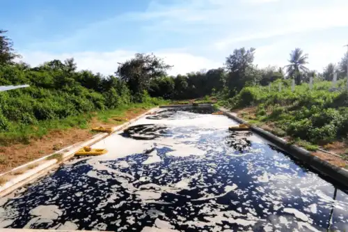 Bom Waktu di Tumpukan Sampah: Mengapa Gas Metana di TPA Bisa Memicu Ledakan Dahsyat?