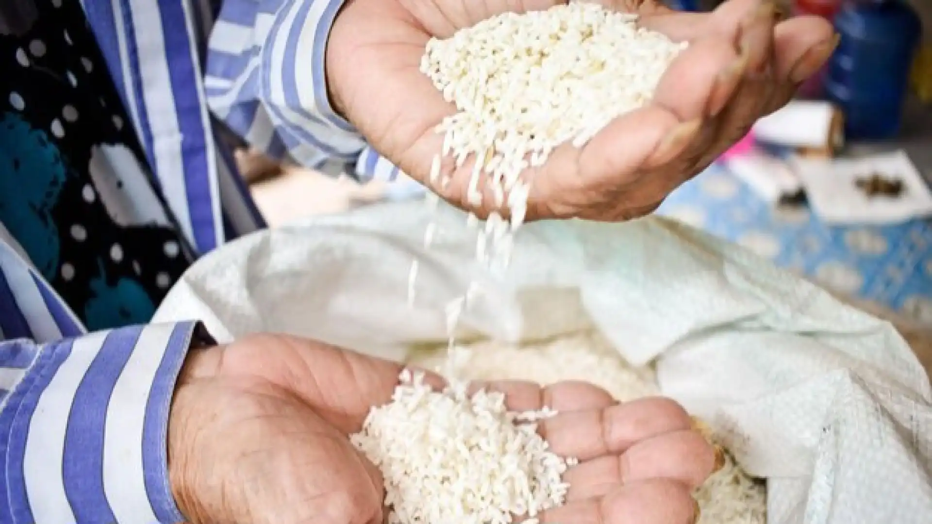 Mengapa Lemak Ikan Patin Sungai Riau Terasa Lebih Lembut dan Tidak Berbau Lumpur Menurut Penjelasan Sains Pangan