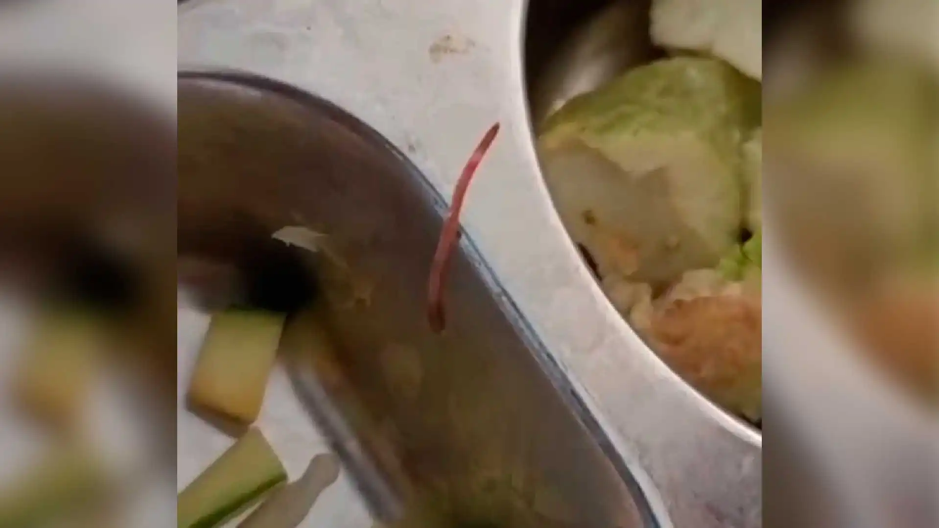 Geger Penemuan Cacing Air Hidup dalam Menu Makan Bergizi Gratis di MAN 1 Pati