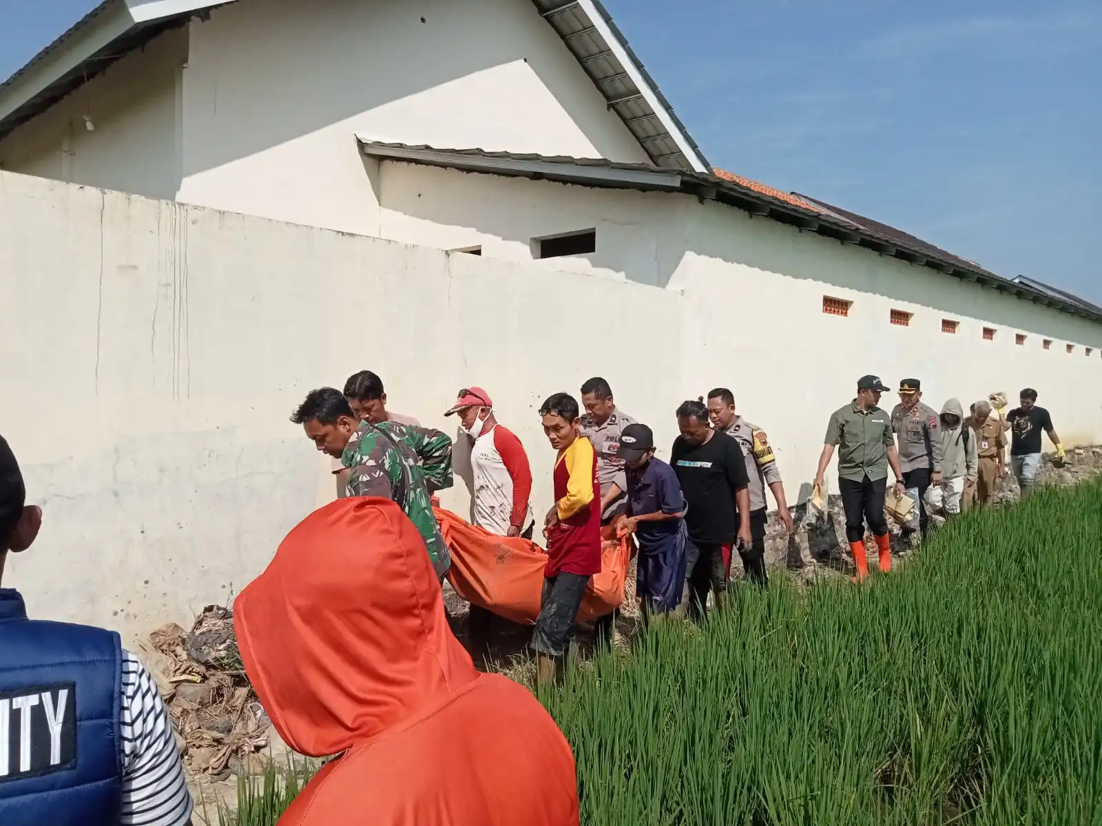 Perangkat Desa Kalipancur Ditemukan Meninggal di Sawah, Polisi Temukan Celurit Tanpa Mata Pisau di TKP 