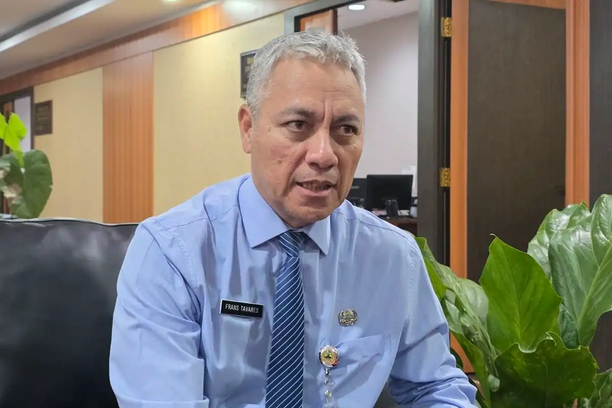 Ancaman Overproduksi Ayam Pedaging di Jateng: Peternak Keluhkan Harga Pakan dan Tuntut Solusi Pemerintah