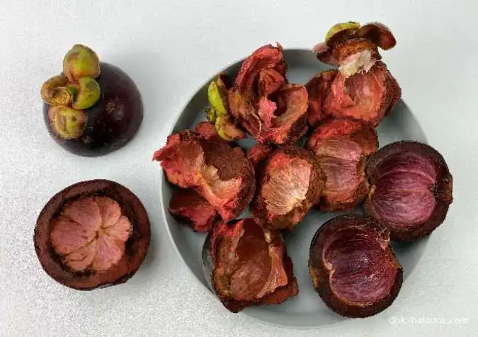 Manfaat Kulit Manggis dan Kebenarannya: Antara Potensi Herbal dan Bukti Ilmiah