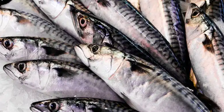 6 Jenis Ikan Tinggi Omega-3 yang Baik untuk Kesehatan Tubuh