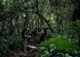 Capek Scrolling Terus? Ini Alasan Mengapa Kamu Butuh Digital Detox di Hutan Sekarang Juga!