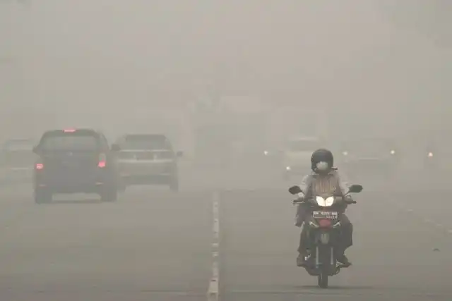 Amukan El Nino di Kalimantan: Kabut Asap Lumpuhkan Penerbangan Hingga Imbas ke Singapura