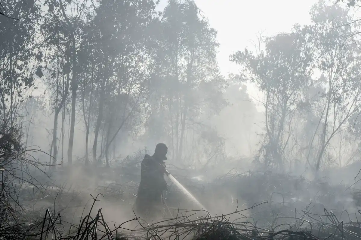 Sumber Air Menyusut, BNPB Ungkap Pemadaman Karhutla Makin Sulit
