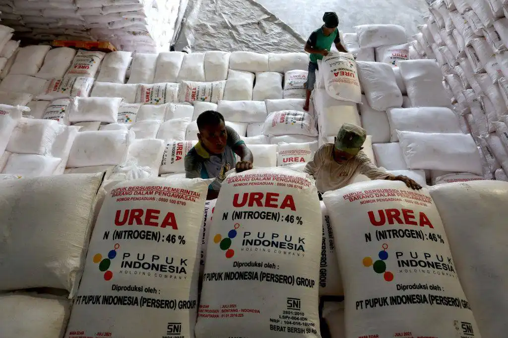 DPKP Kalsel Awasi Penyaluran 91 Ribu Ton Pupuk Subsidi untuk Petani