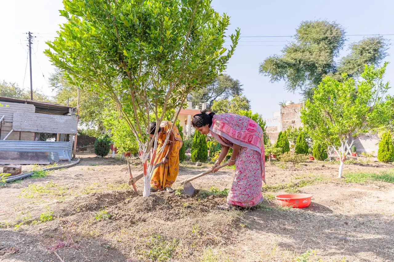 Hutan Makin Tipis, Cuaca Makin Gila: Saatnya Peduli Bumi Kita