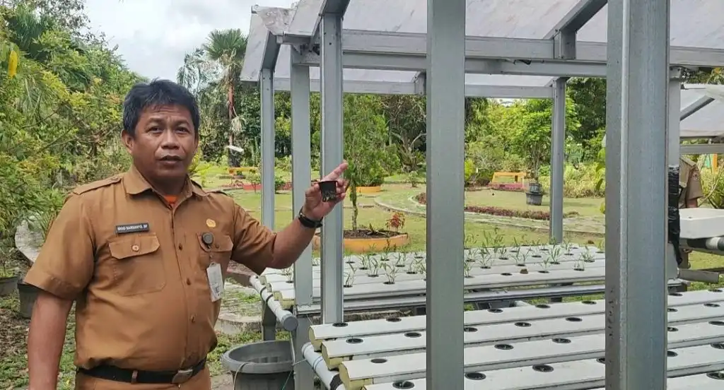Inovasi Hidroponik Diuji untuk Pembenihan Cabai dan Tomat di Kalsel