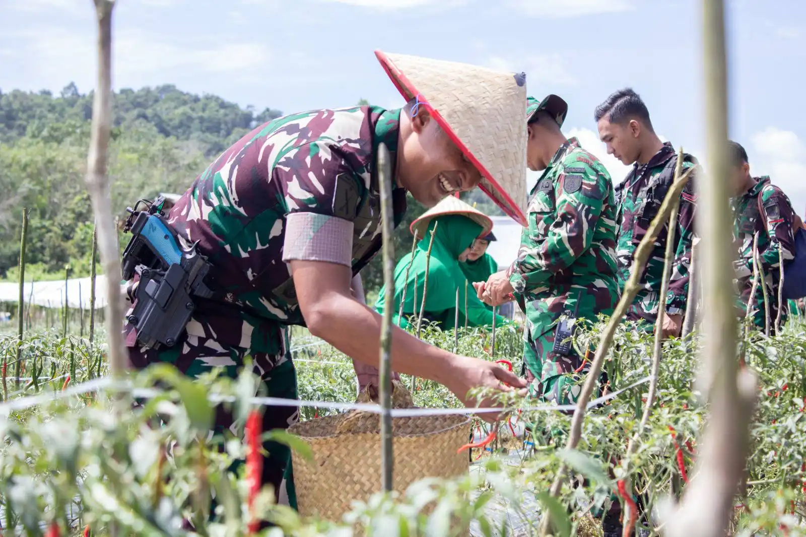 Panen Raya Cabai Rawit, Yonif 829/TP Libatkan Warga dan Kelompok Tani