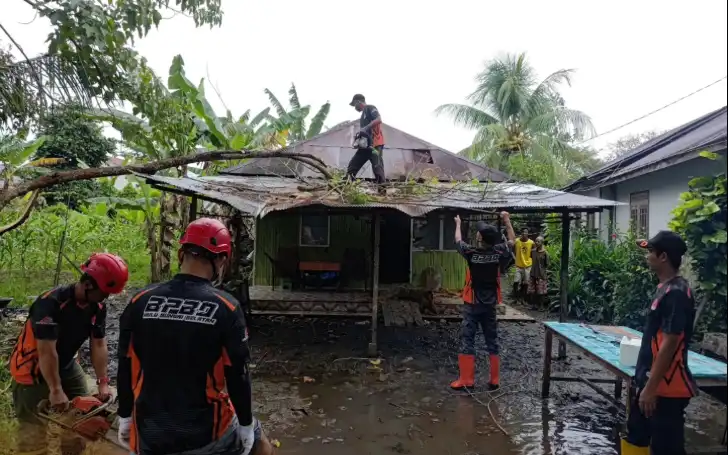 TRC BPBD dan Pemdes Wasah Hilir Sigap Tangani Rumah Tertimpa Pohon Tumbang
