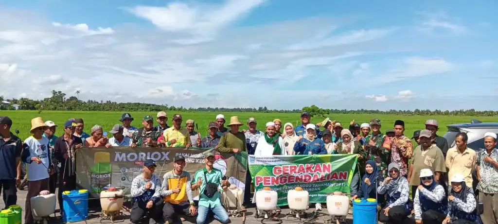 Antisipasi Kemarau Panjang 2026, Strategi BPTPH Kalsel Jaga Produktivitas Pertanian