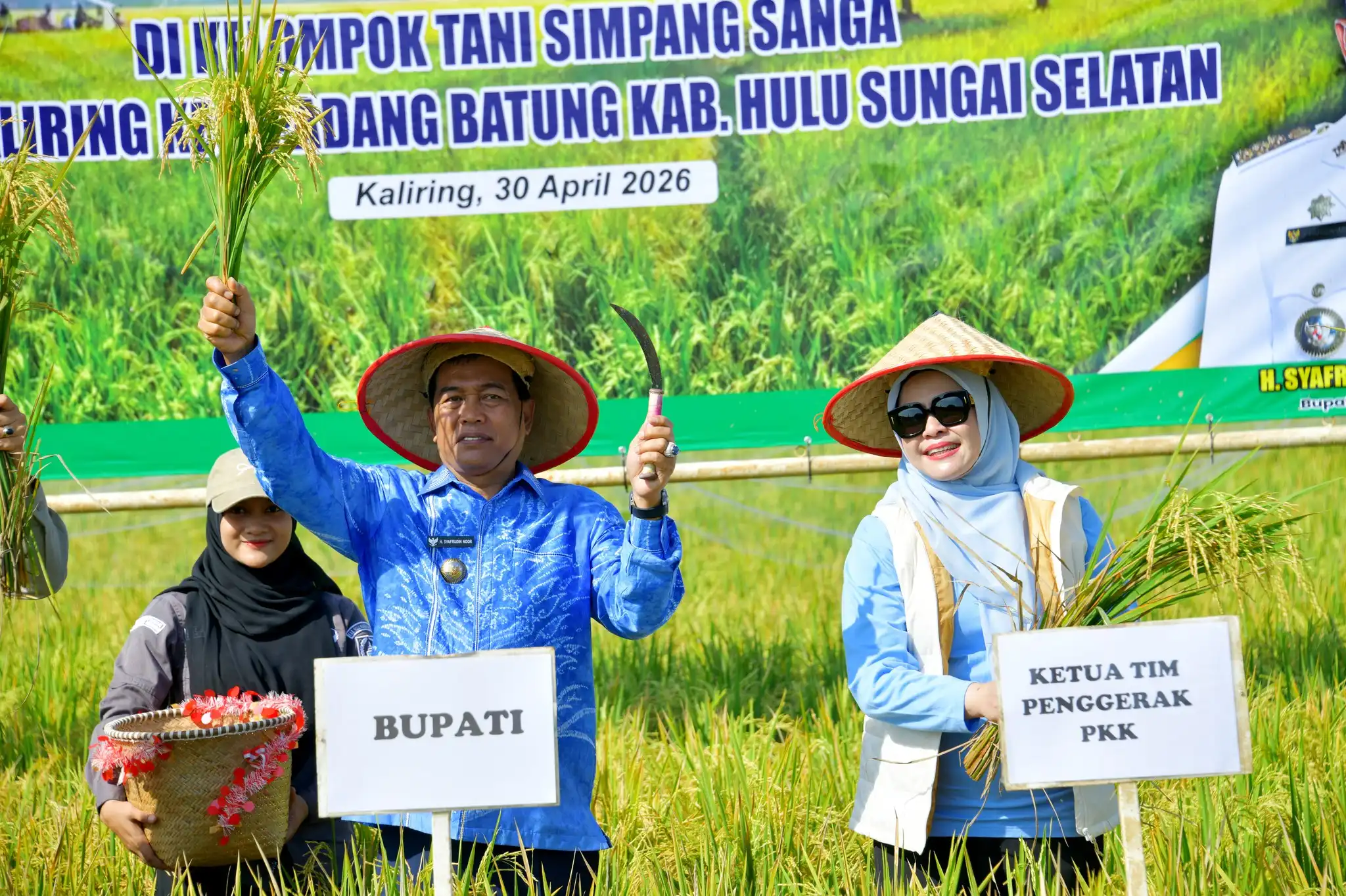 Dua Kali Panen Setahun Mulai Dirasakan, Petani HSS Didorong Tingkatkan Produksi