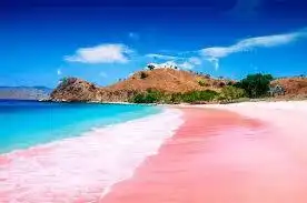 Pantai Pink Flores: Bukan Cuma Soal Filter Instagram, Tapi Keajaiban yang Real!