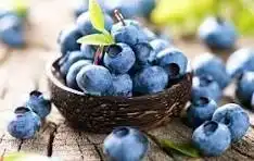 Si Kecil Biru yang Bikin Otak Nggak Gampang Lemot: Rahasia di Balik Populeritas Blueberry