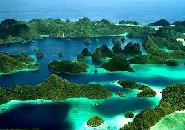 Menjelajahi Surga Tersembunyi di Raja Ampat yang Mendunia: Antara Tabungan yang Menipis dan Healing yang Hakiki