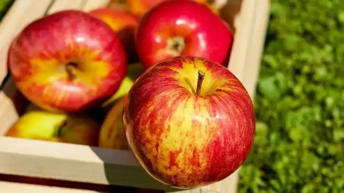 Si Bulat Merah Penyelamat Jantung: Kenapa Apel Harus Jadi Bestie Baru Kamu?