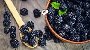 Blackberry: Senjata Rahasia Anti-Aging yang Sering Terlupakan