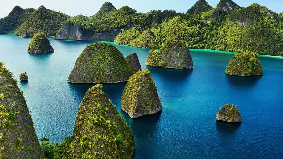 Menelusuri Jejak Telur Naga: Mengapa Raja Ampat Bukan Sekadar Surga Snorkeling