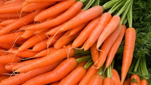Manfaat wortel yang beragam