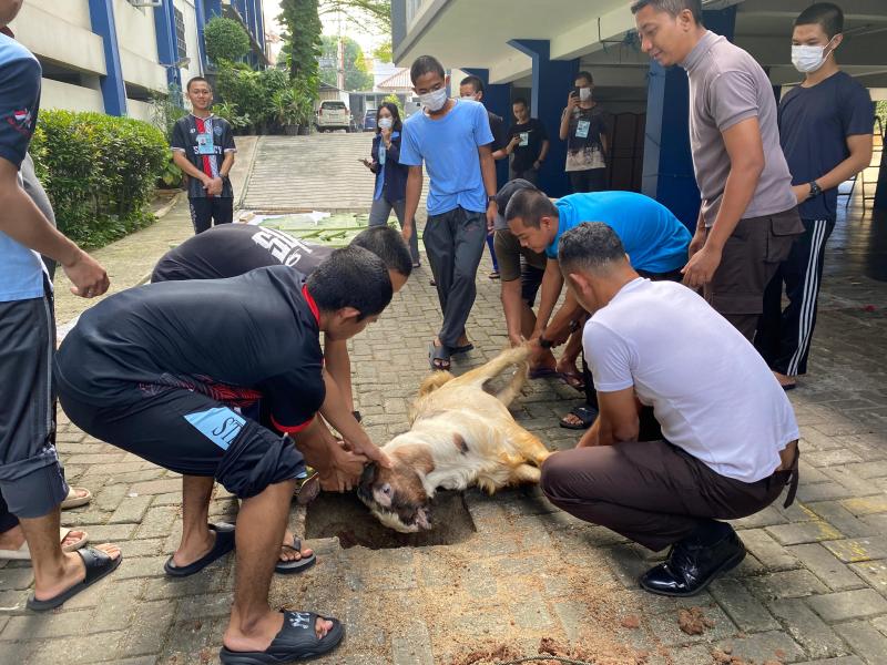 Pemotongan hewan kurban (PT JIAEC/Naufal Rifqi) Pemotongan hewan kurban (PT JIAEC/Naufal Rifqi)